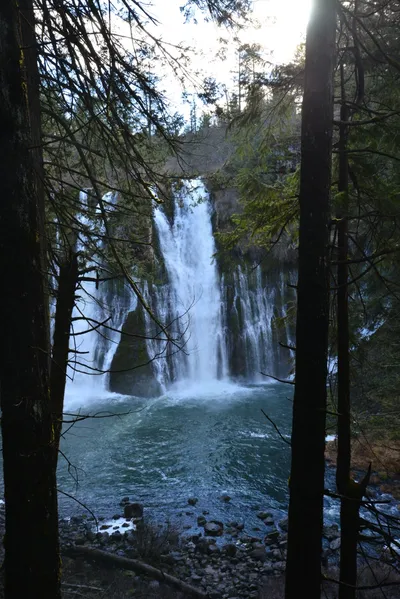 DSC_5928 (Large).JPG